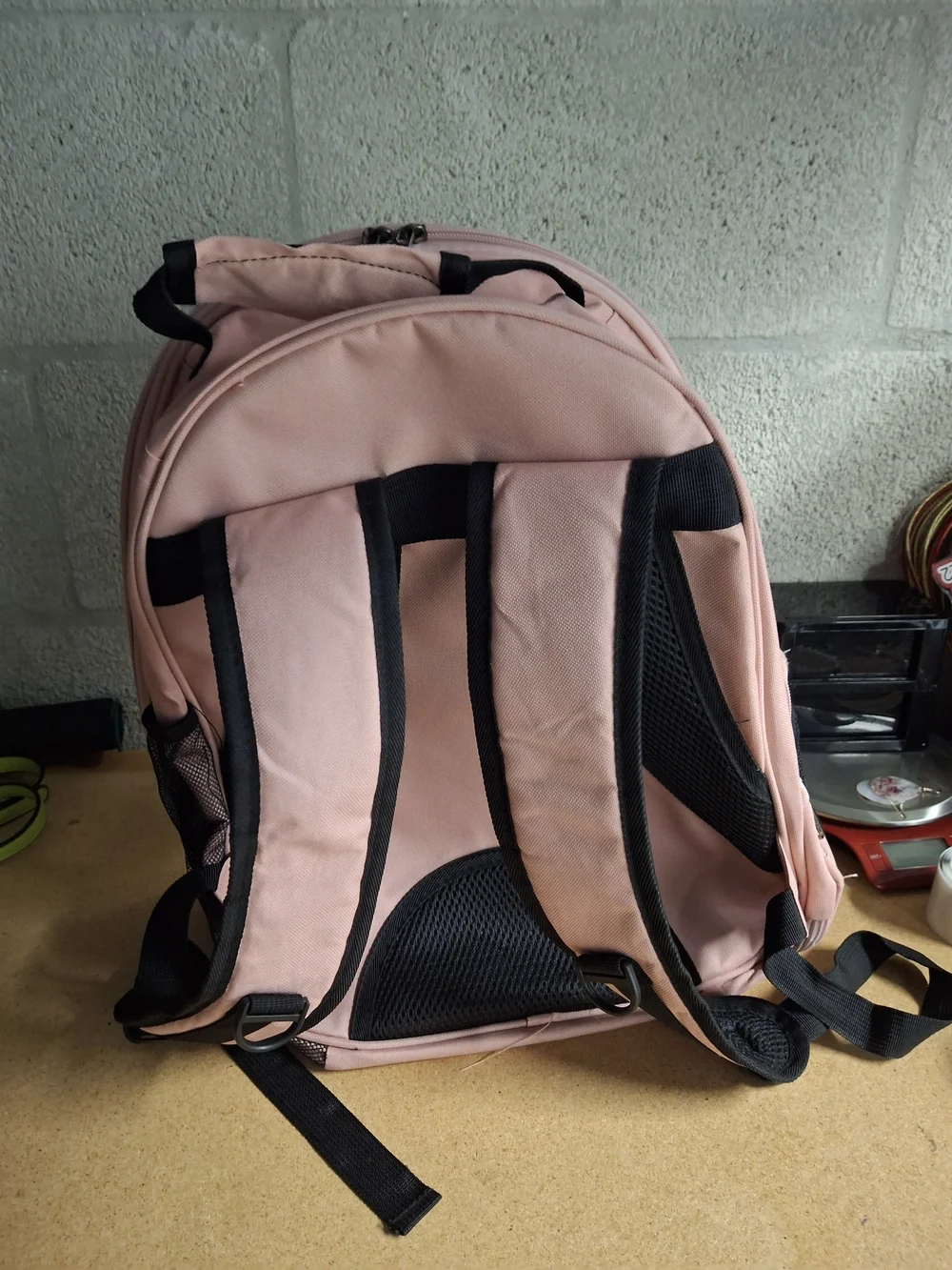 Clear Bubble Pet Carrier Backpack in Blush Pink